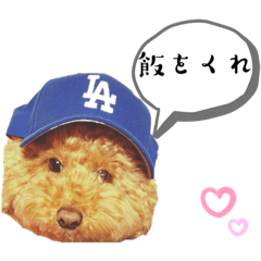 orion_20230415085624