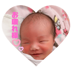 koto_20230414194900