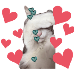 AOZORA_20230414214514