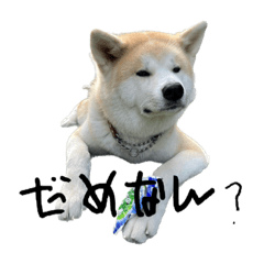 mizuki_20230414185257