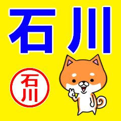 ★石川(いしかわ)な柴犬のシバッキー