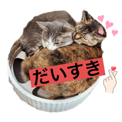 suzu_20230414212850