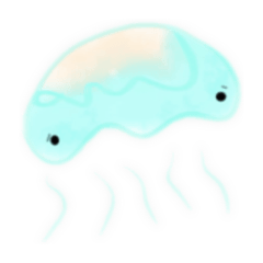 colorful jellyfish7