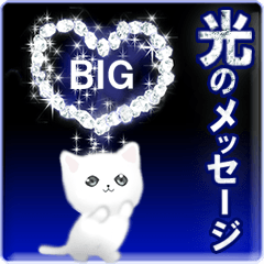 Big Stickers-Shiny message-white cat