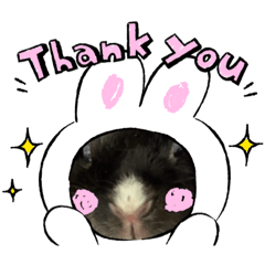 可愛小黑兔-咘比 I