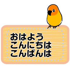 Cute  orange bird's message changable