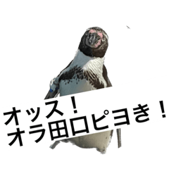 nao_20230414234256