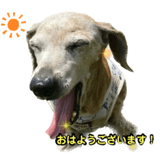 kana_20230415101331