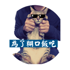 圓圓是我我是圓圓