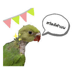 mekung_20230415124925