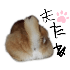 asako_20230415121423