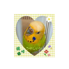 chocoMINT_20230415131444