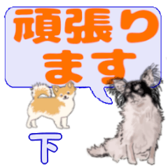 Shimo's letters Chihuahua - Stiker LINE | LINE STORE