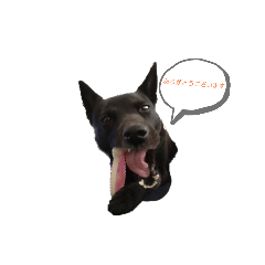 suzu_20230415171610