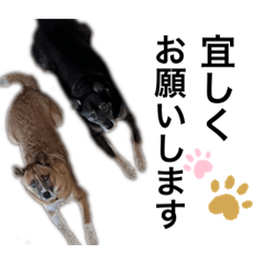 saori_20230415191447