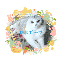 megumi_20230415205408