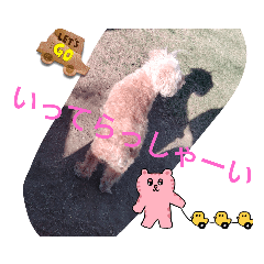 miyoko_20230415224653