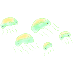 colorful jellyfish10