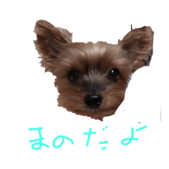 mano_20230416000757