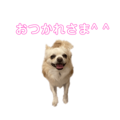 Miwa Kato_20230416002520