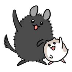 Chinchilla and hamster