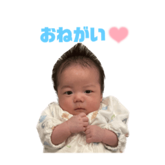 melon_20230416025117