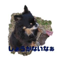 Kurepi_20230416100123