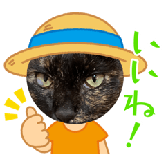 teru&haido_20230416115942