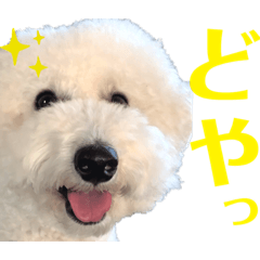 ごもちゃんスタンプ