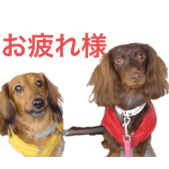 Yukari_20230416191753