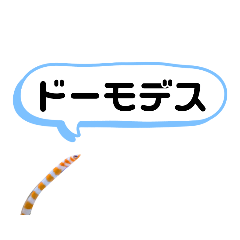 Anago-chan