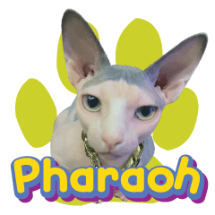 Pharaoh ep.1
