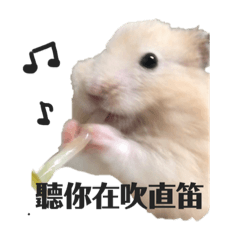 A Hamster named Mao-mao