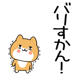 inuhakata70