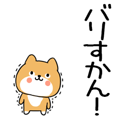 inuhakata74