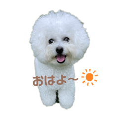 kurukuru._20230416185444