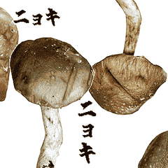 Moving Shiitake mushroom 2