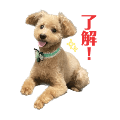 yuka_20230416192849