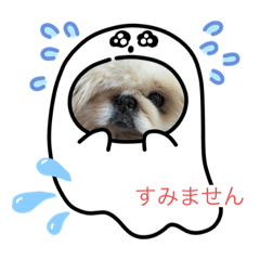 no_20230416205720