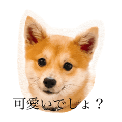 nao_20230416224648