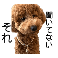 ai_202304162129461385