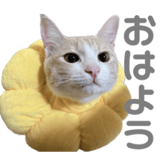 yuka_20230416200402