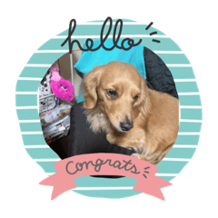 sayuri_20230416194737