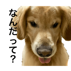 Kuuuuuuu_20230416224034
