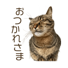 yuka_20230416231014