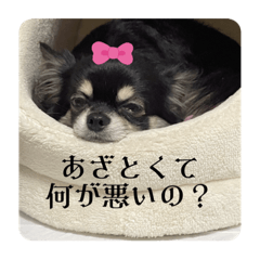 nanamin_20230416230607