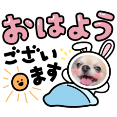 misa_20230417005534