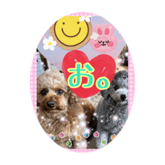 tom&jerry toy poodle