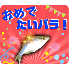 tanaco_20230417082404