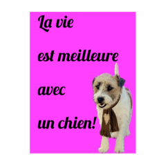 LCD - Le Cool Dog 2 (French language)